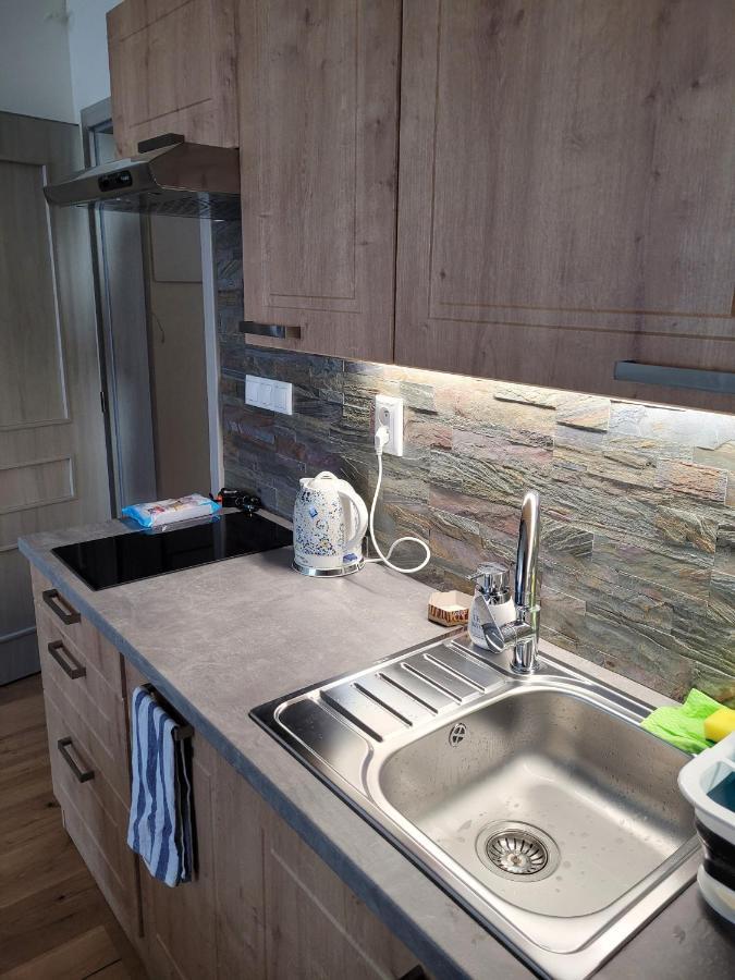 Artur Apartment Myto Mýto pod Ďumbierom Kültér fotó