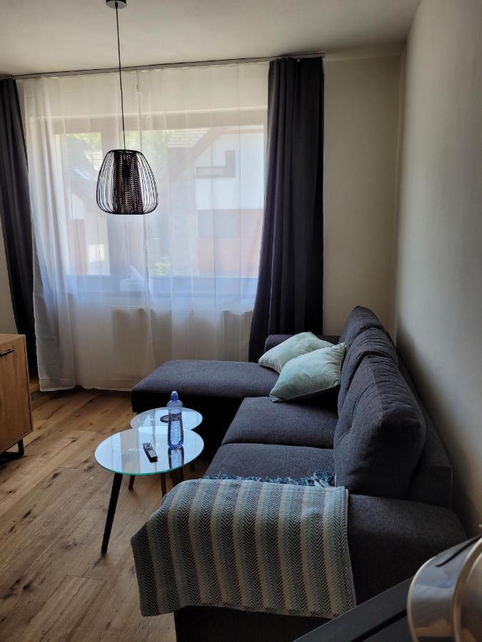 Artur Apartment Myto Mýto pod Ďumbierom Kültér fotó